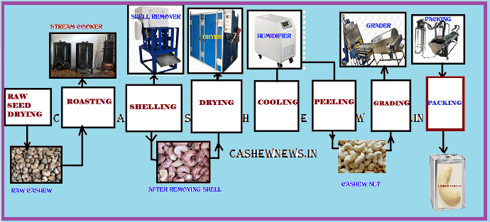 Cashew Nut Processing: Methods, Environmental Impact