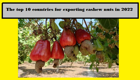 Top 10 Cashew Nut Exporting Countries data  in 2022