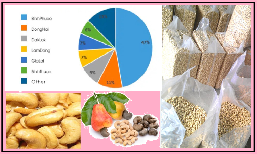 As a price-sensitive market, Vietnamese food companies are working to keep cashew products affordable. To manage rising production costs, some companies are absorbing part of these expenses, maintaining steady demand despite potentially lower profit margins.