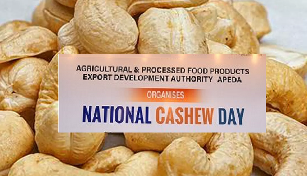 Apeda Pushes for Global Branding of Indian Cashews