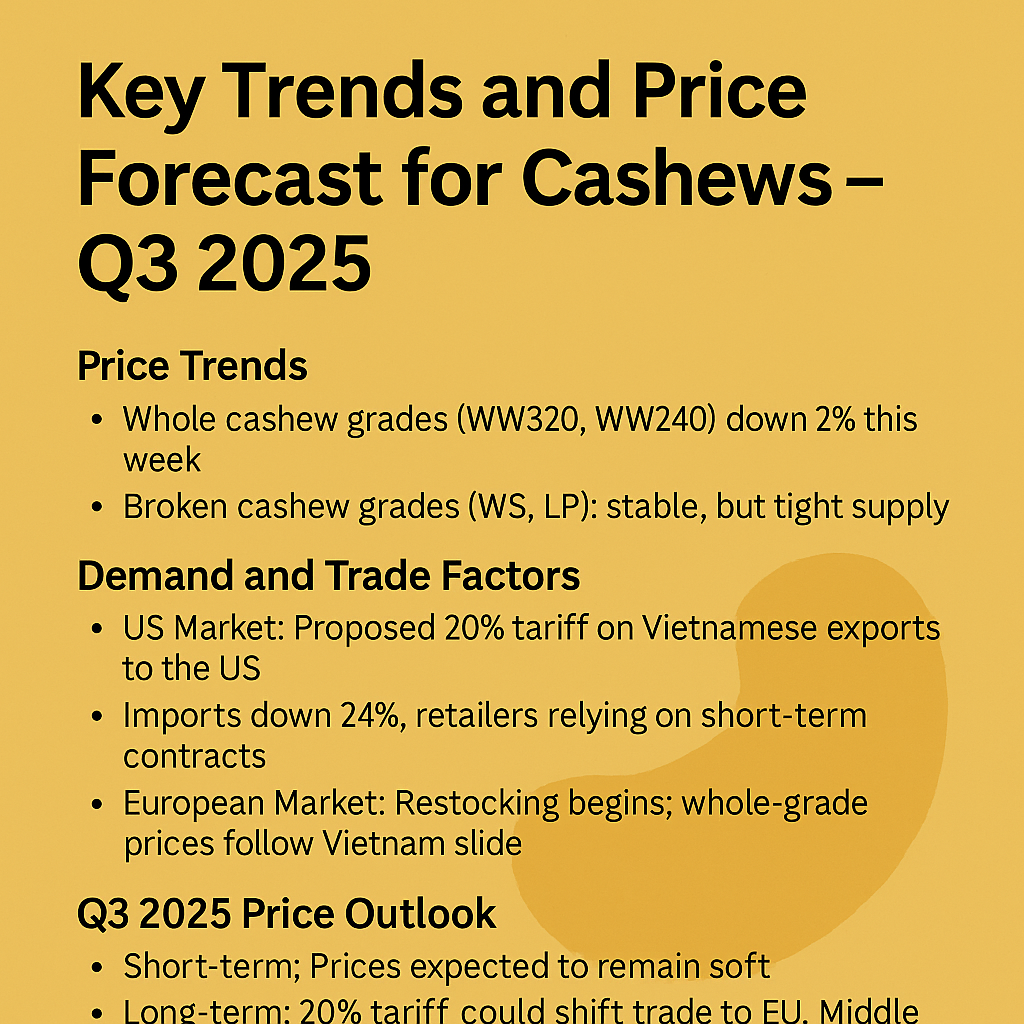 Key Trends and Price Forecast for Cashews – Q3 2025