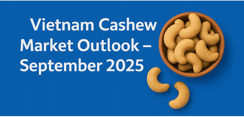 Vietnam Cashew Market Outlook – Sept 2025 