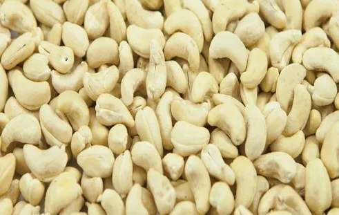TN Govt Forms Cashew Board with ₹10 Crore Allocation